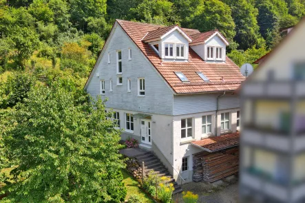 Ansicht Eingang - Haus kaufen in Neuenbürg - Hier ist Kinderlachen erwünscht