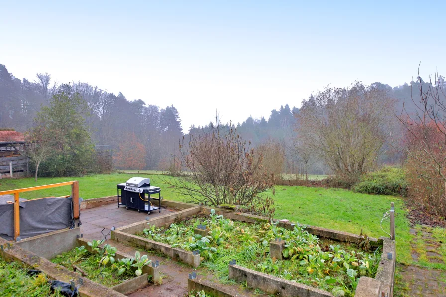 Blick auf den Garten