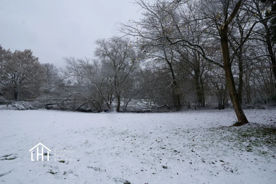 Grundstück Winterbild