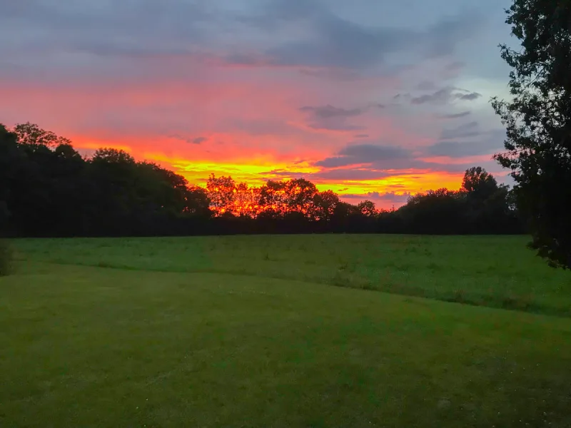 Sonnenuntergang im Garten