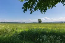 Ausblick Richtung Ostsee