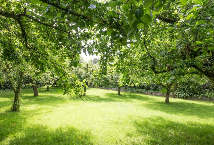 Obstgarten