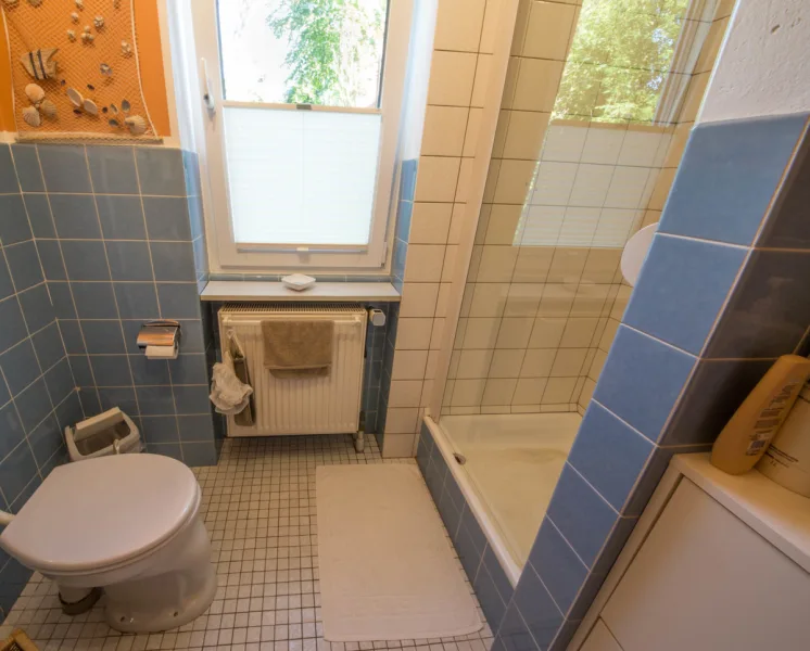 Gäste WC mit Dusche