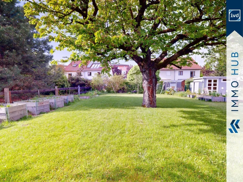 Kirschbaum im Garten