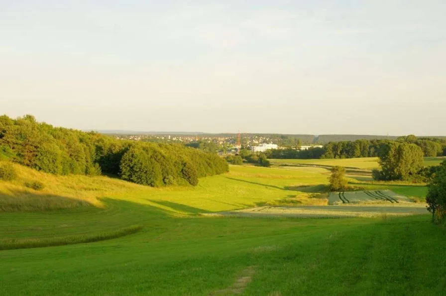 Ausblick um Kalchreuth