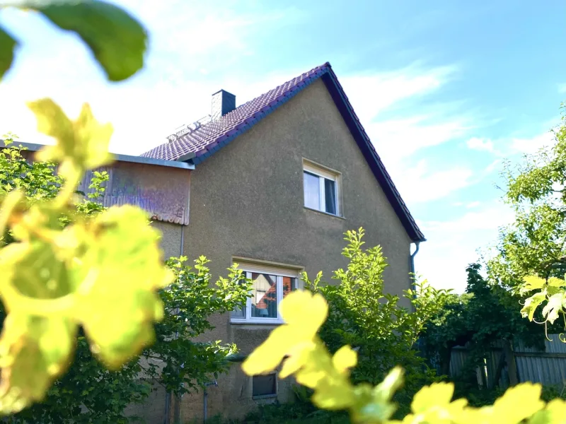 Hausansicht - Haus kaufen in Kasel-Golzig - Wohnhaus mit Gewerbepotential