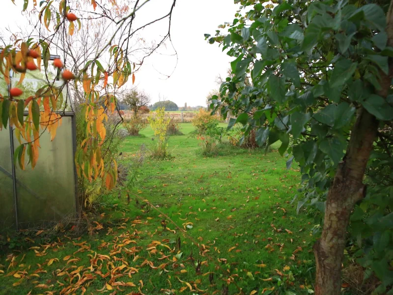 Blick in den Garten