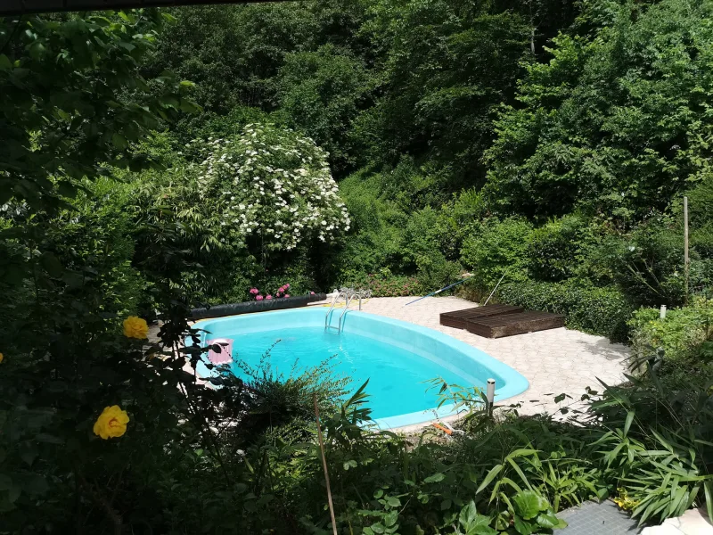 Pool - Haus kaufen in Badenweiler - Idyllisches Naturparadies: Freistehendes Einfamilienhaus mit Naturgrundstück im Wald