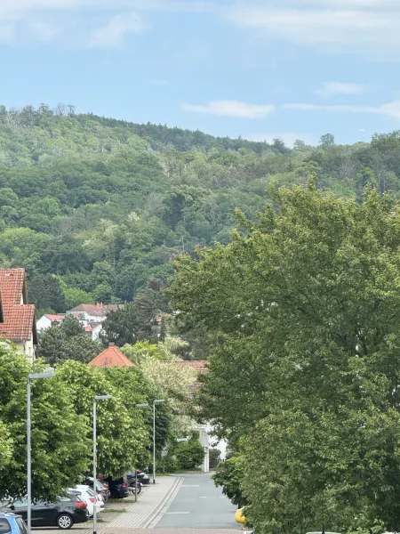 Ausblick/Straße - Haus kaufen in Alsbach-Hähnlein - Geräumige DHH - ein Raumwunder für junge Familien!