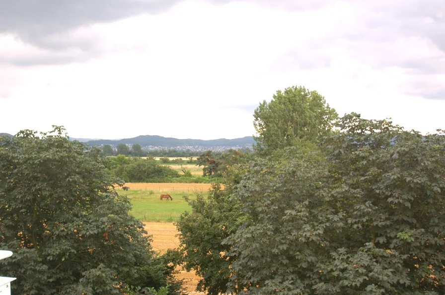 Ausblick - Wohnung kaufen in Viernheim - Sonnenhelle 4-Zimmerwohnung in absolut ruhiger Lage