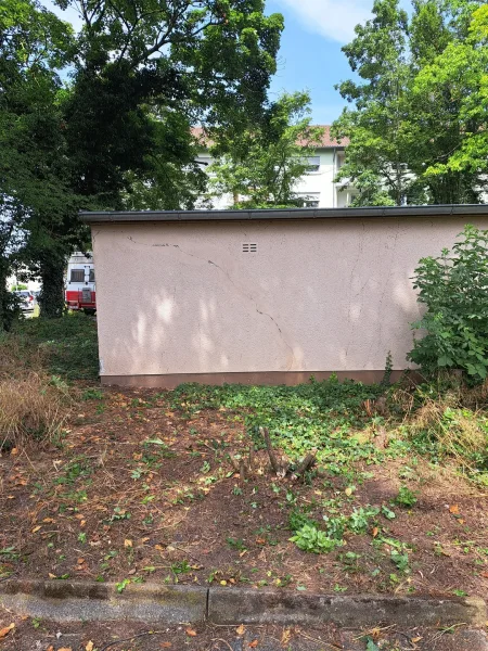 Garage von hinten mit Grünanteil