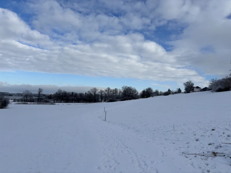 Spazierweg unterhalb des Hauses