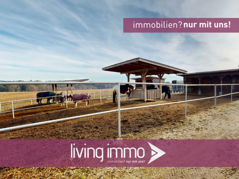 Vorlage Startbild Normal Logo und Fenster living immo Farbe-12 - Haus kaufen in Hengersberg - Gepflegtes Reiteranwesen mit schönem Wohnhaus und ca. 5,4 Hektar Grund in toller Lage