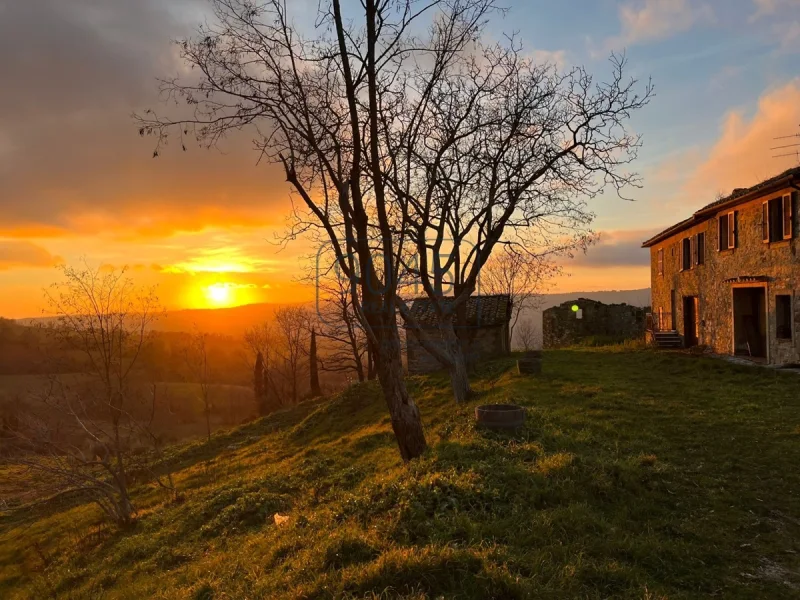 Ihr "Agriturismo" mit Öl- und Weinproduktion am Monte Amiata - Toskana