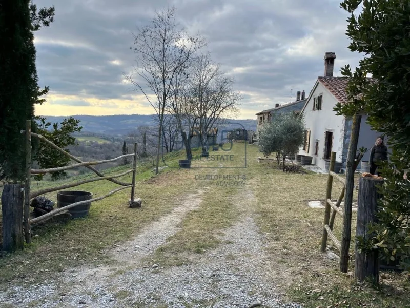 Ihr "Agriturismo" mit Öl- und Weinproduktion am Monte Amiata - Toskana