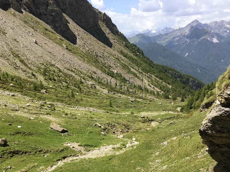 Einzigartig: Alm- und Waldeigentum samt potenzieller Jagdmöglichkeit am Brenner - Südtirol - Haus kaufen in Brennero / Brenner - Einzigartig: Alm- und Waldeigentum samt potenzieller Jagdmöglichkeit am Brenner - Südtirol