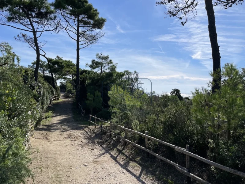 Villa am Goldstrand in der Pineta di Roccamare in Castiglione della Pescaia - Toskana