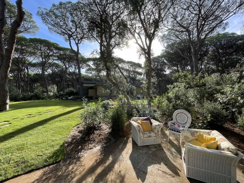 Villa am Goldstrand in der Pineta di Roccamare in Castiglione della Pescaia - Toskana