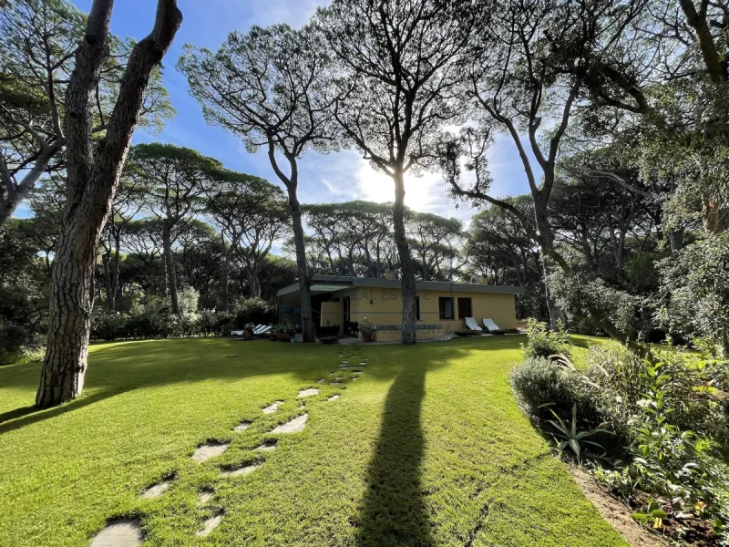 Villa am Goldstrand in der Pineta di Roccamare in Castiglione della Pescaia - Toskana