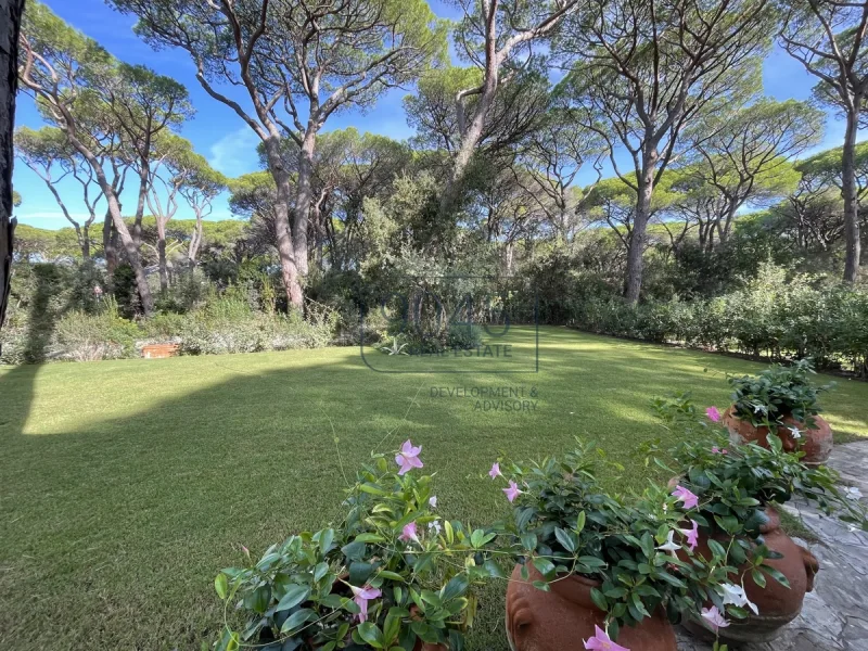 Villa am Goldstrand in der Pineta di Roccamare in Castiglione della Pescaia - Toskana