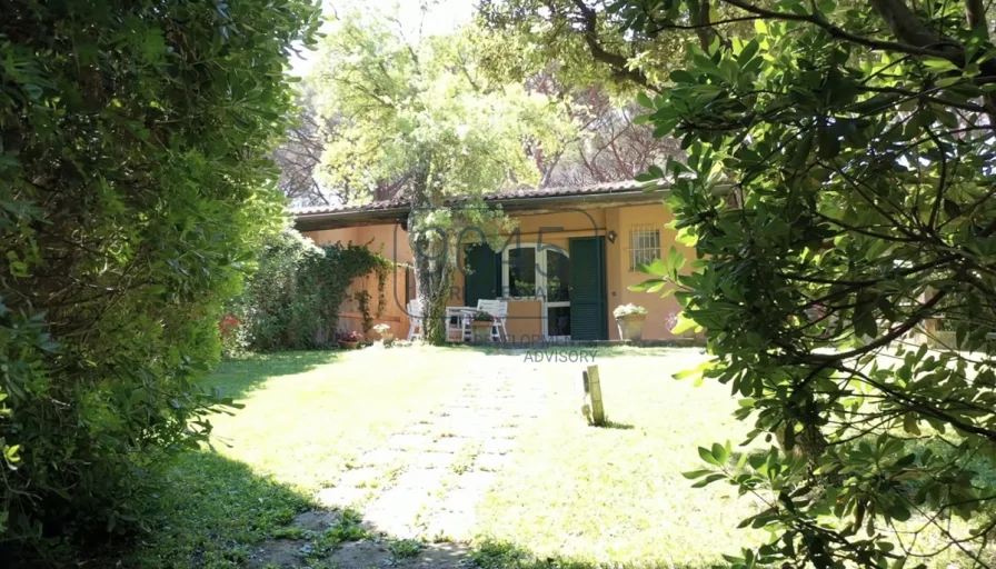 Kleinod in der Pineta di Roccamare in Castiglione della Pescaia - Toskana 