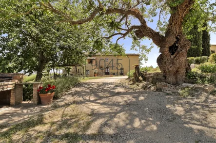 Toskanisches Bauernhaus mit Nebengebäuden in Montaione - Toskana - Haus kaufen in Montaione - Toskanisches Bauernhaus mit Nebengebäuden in Montaione - Toskana