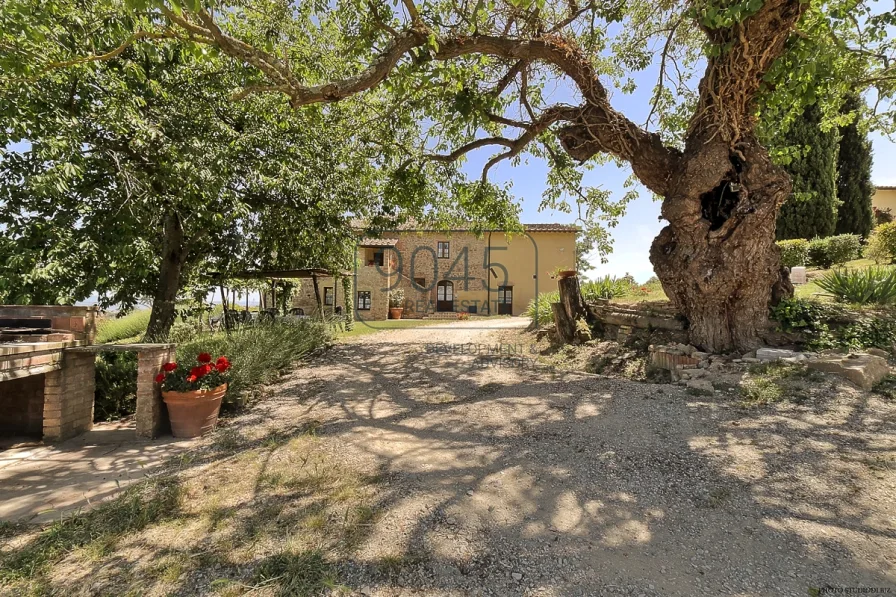 Toskanisches Bauernhaus mit Nebengebäuden in Montaione - Toskana - Haus kaufen in Montaione - Toskanisches Bauernhaus mit Nebengebäuden in Montaione - Toskana