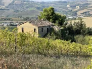 Landhaus in den Hügeln der Marken mit schönem Weinberg in Offida - Borgo Miriam