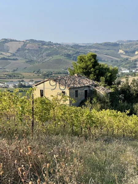 Landhaus in den Hügeln der Marken mit schönem Weinberg in Offida - Borgo Miriam