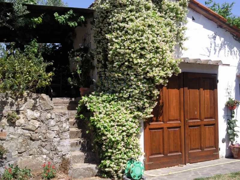 Landhaus auf den Hügeln von Lamporecchio - Pistoia Toskana