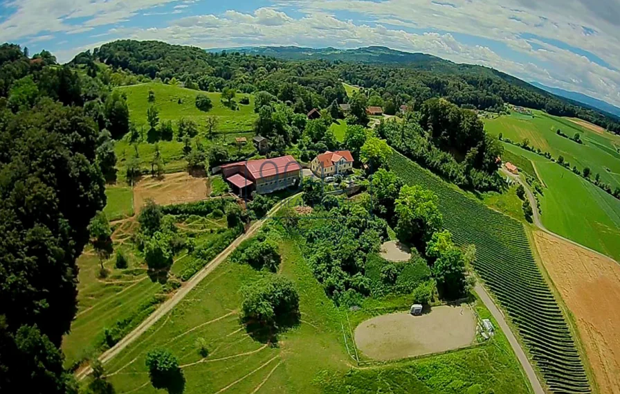 Kleine Landwirtschaft für Naturliebhaber und Pferdebegeisterte in Flamberg - Südsteiermark - Haus kaufen in Flamberg - Kleine Landwirtschaft für Naturliebhaber und Pferdebegeisterte in Flamberg - Südsteiermark