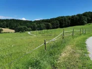 Kleine Landwirtschaft für Naturliebhaber und Pferdebegeisterte in Flamberg - Südsteiermark