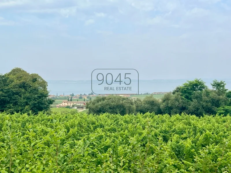 Baugrundstück zum Bau einer Villa in ruhiger Lage mit Seeblick in Lazise - Gardasee - Haus kaufen in Lazise - Baugrundstück zum Bau einer Villa in ruhiger Lage mit Seeblick in Lazise - Gardasee