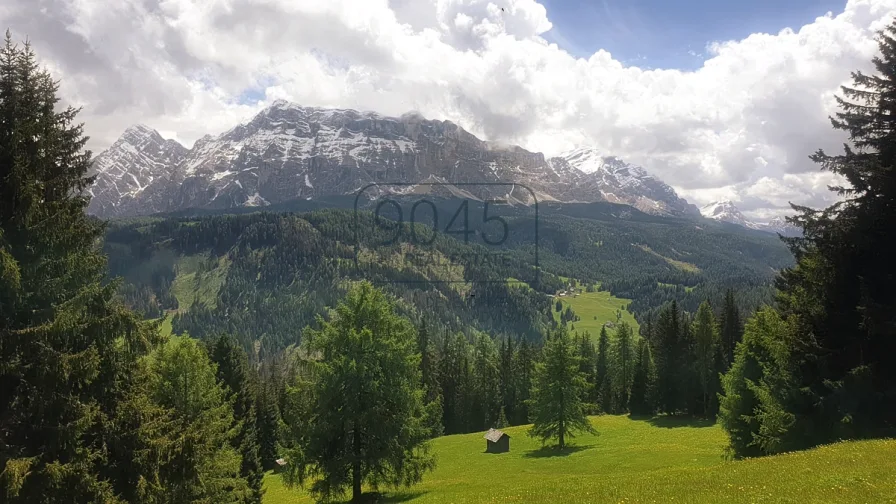 Almwiese mit kleiner Kochhütte und Stadel in Alta Badia - Südtirol - Haus kaufen in Wengen/La Val - Almwiese mit kleiner Kochhütte und Stadel in Alta Badia - Südtirol