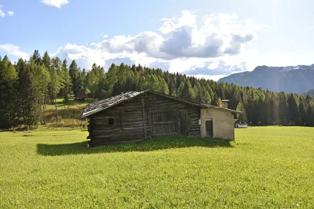 Charmanter Altbestand mit genehmigtem Projekt in Bellamonte - Trentino / Südtirol - Haus kaufen in Bellamonte - Charmanter Altbestand mit genehmigtem Projekt in Bellamonte - Trentino / Südtirol