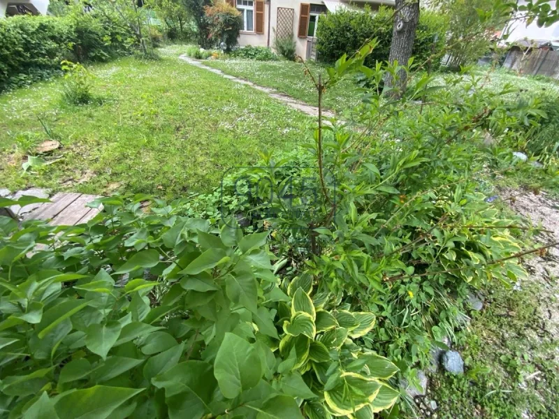 Wohnhaus mit drei Wohnungen und Garten in Vilpian - Südtirol