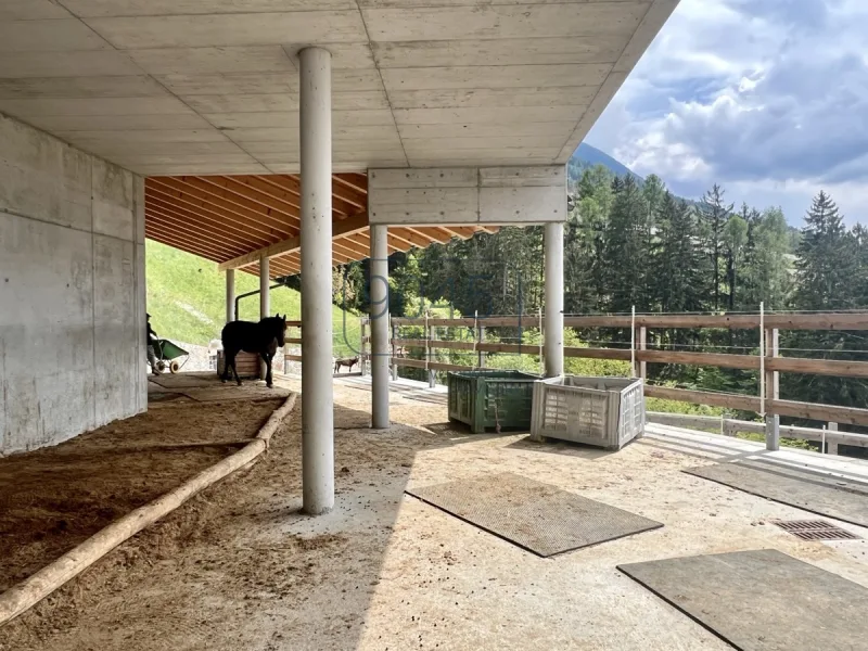 Geschlossener Hof für Pferdehaltung mit Panoramablick im Meraner Land - Südtirol