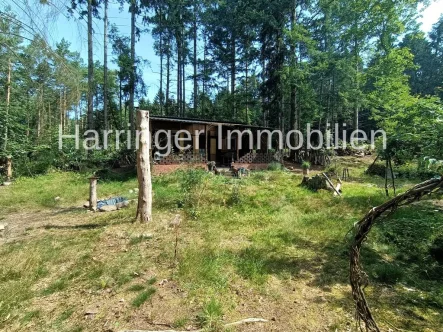 Ansicht 1 Haus - Haus kaufen in Buchholz in der Nordheide / Sprötze - Wochenendhaus auf hellem Waldgrundstück!