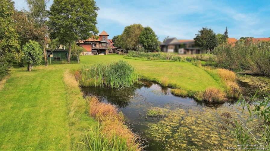 Garten mit Teich