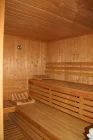 Sauna im Keller