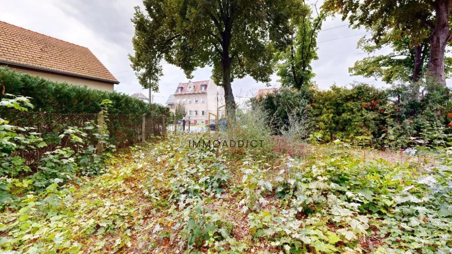 Bauplatz - Grundstück kaufen in Petershagen/Eggersdorf - Neuer Preis - Naturnahes Grundstück zur Wohnbebauung