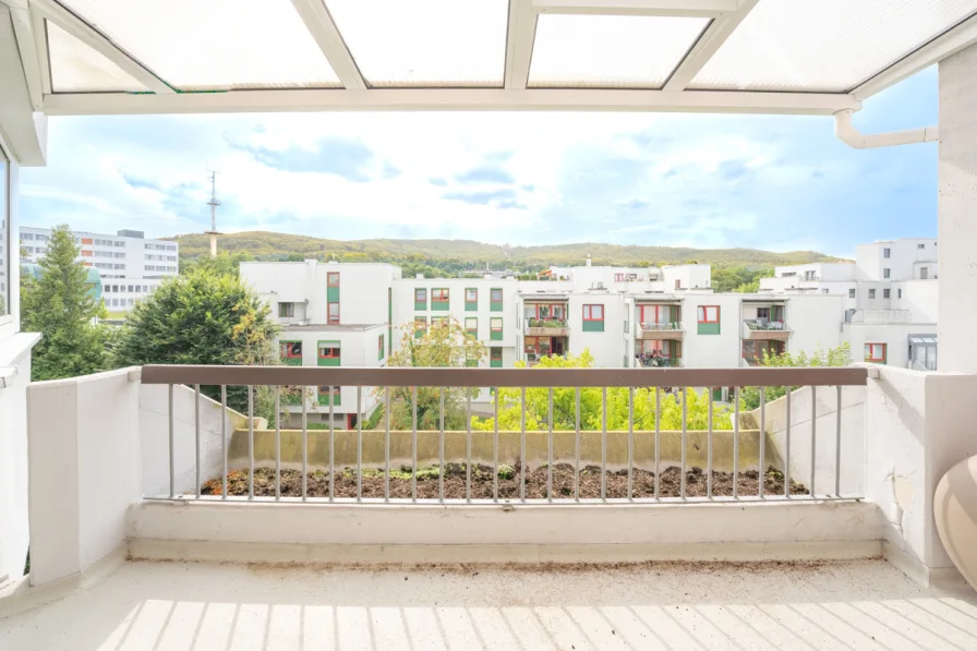 Blick vom Balkon Richtung Bergpark und auf den Herkules