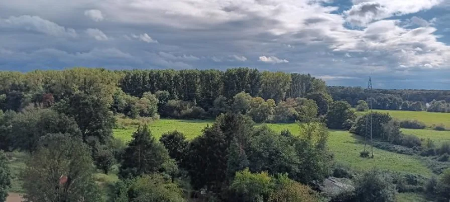 1726052632-20240909_153222.jpg - Wohnung kaufen in Rückingen - Attraktive 3-Zimmer-Wohnung mit Balkon und Stellplatz in Erlensee