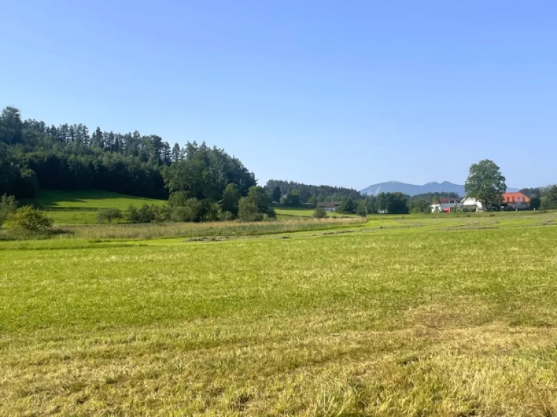 Baugrundstück - Grundstück kaufen in Huglfing - Huglfing - herrliches Baugrundstück mit Blick und angrenzenden Wiesen