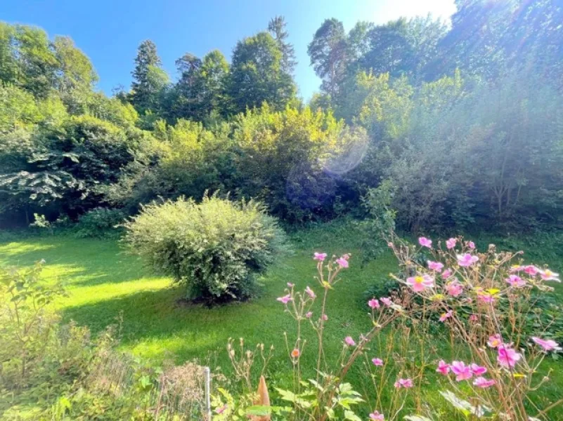 Blick von der Terrasse in die Natur