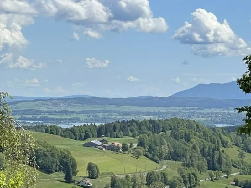 Weitblick - Haus kaufen in Murnau - Landhausvilla auf großem Grund mit traumhaftem Panoramablick