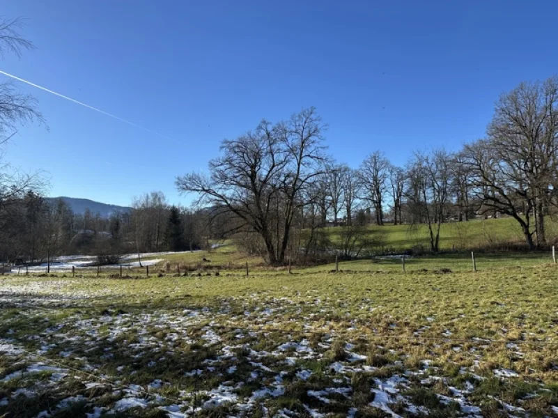  Landschatsschutzgebiet - Grundstück kaufen in Murnau am Staffelsee - Murnau - Traumhaftes Baugrundstück am Naturschutzgebiet mit gepflegtem Bungalow