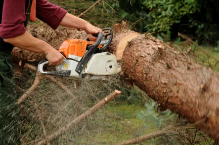  - Grundstück kaufen in Oberdachstetten - Ökologische Geldanlage und privater Energiewald - nutzen Sie die Gelegenheit!