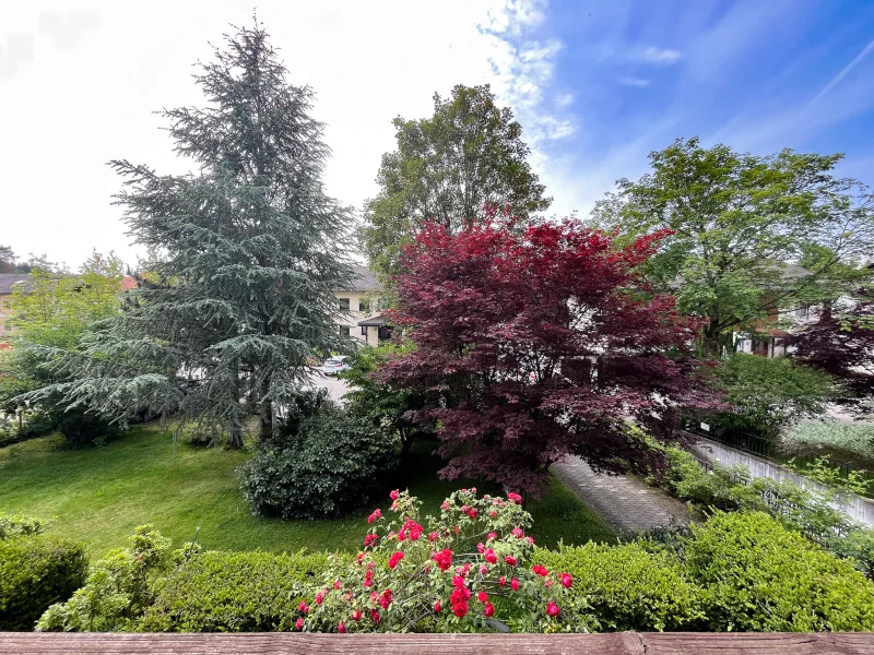 Aussicht vom Balkon