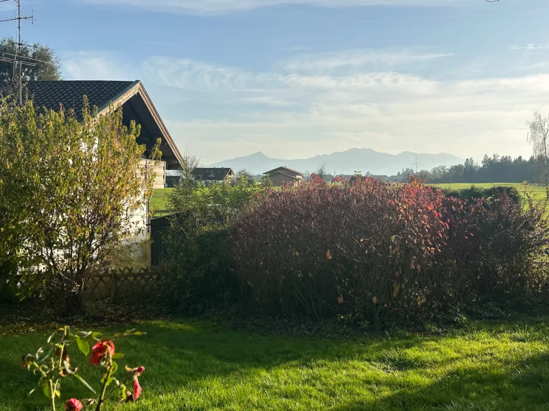 Blick von der Terrasse